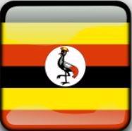 Best E-commerce Payment Gateway in Uganda