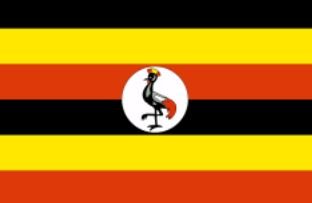 Online Shopping websites in Uganda